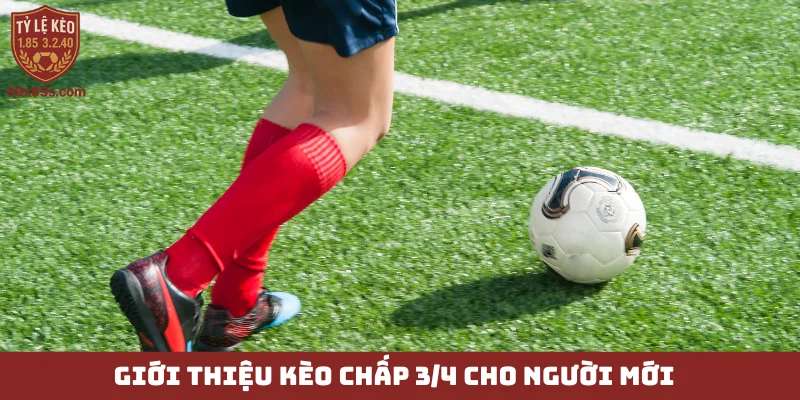 Kèo chấp 3/4 - Cẩm nang soi kèo chạm đến thành công 4 Giới thiệu kèo chấp 3/4 cho người mới