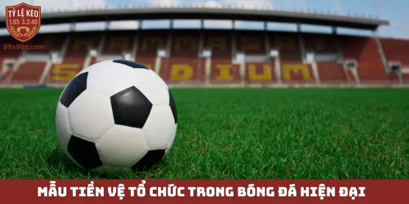 Tiền vệ phòng ngự - Tấm lá chắn thép vững chãi nhất 5 Mẫu tiền vệ tổ chức trong bóng đá hiện đại